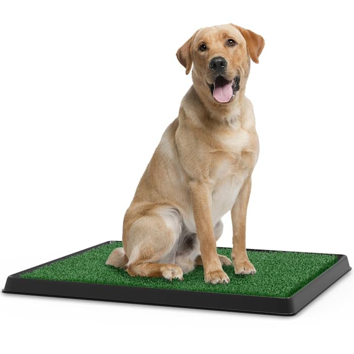 Artificial Grass Potty Trainer Mat 20" L X 25" W P4969