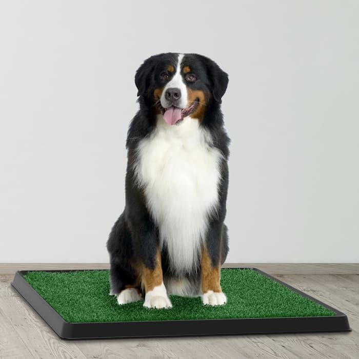 Artificial Grass Potty Trainer Mat 20" L X 25" W P4969