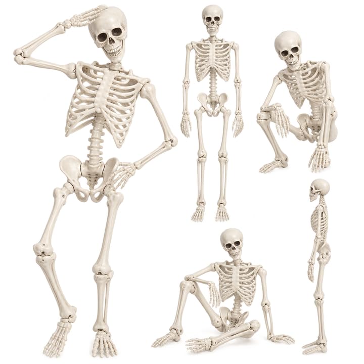 5.4FT Poseable Skeleton with Flexible Joints A69467