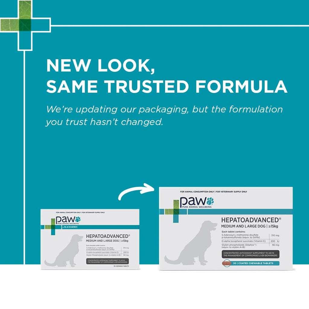 Chewable Tablet with S-Adenosyl-L-Methionine, Vitamin E and Siliphos, 30 Tablets J511851