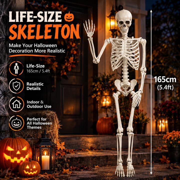 5.4FT Poseable Skeleton with Flexible Joints A69467