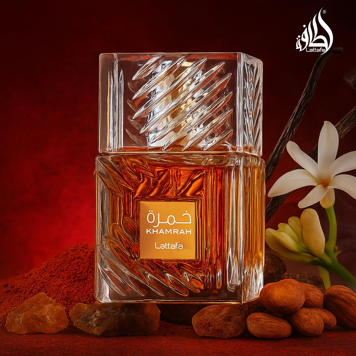Vanilla Warm Spicy Amber Cinnamon Eau de Parfum 3.40 Ounce / 100 ml M668697