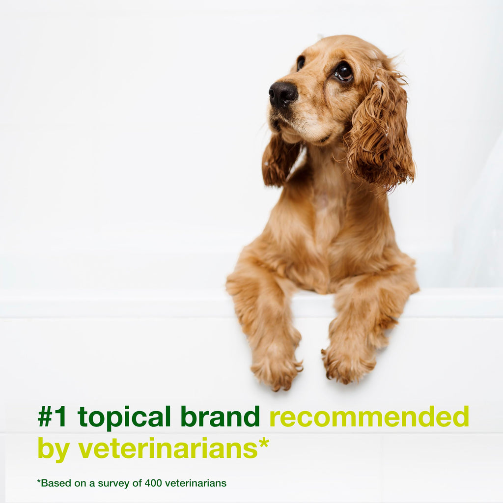 Dog Seboregulating Shampoo 6.7 fl oz A126