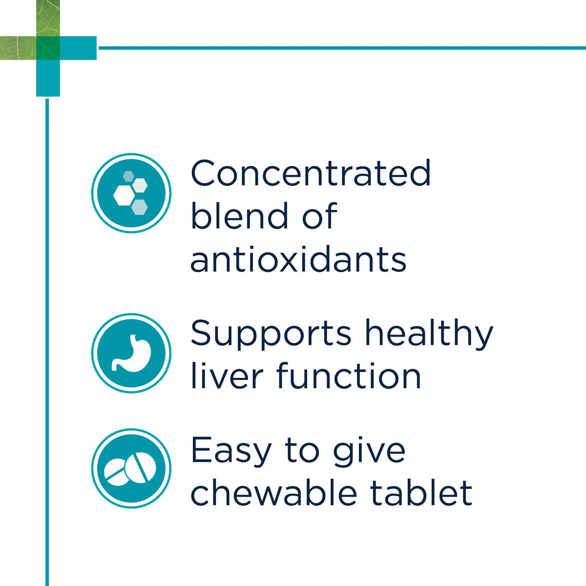 Chewable Tablet with S-Adenosyl-L-Methionine, Vitamin E and Siliphos, 30 Tablets J511851