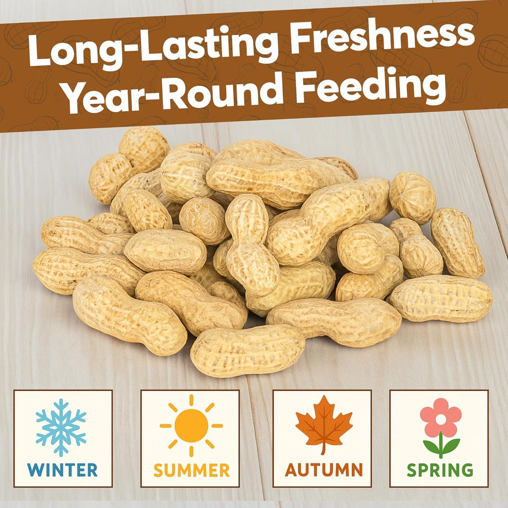 12 LB Raw Peanuts in Shell R7852