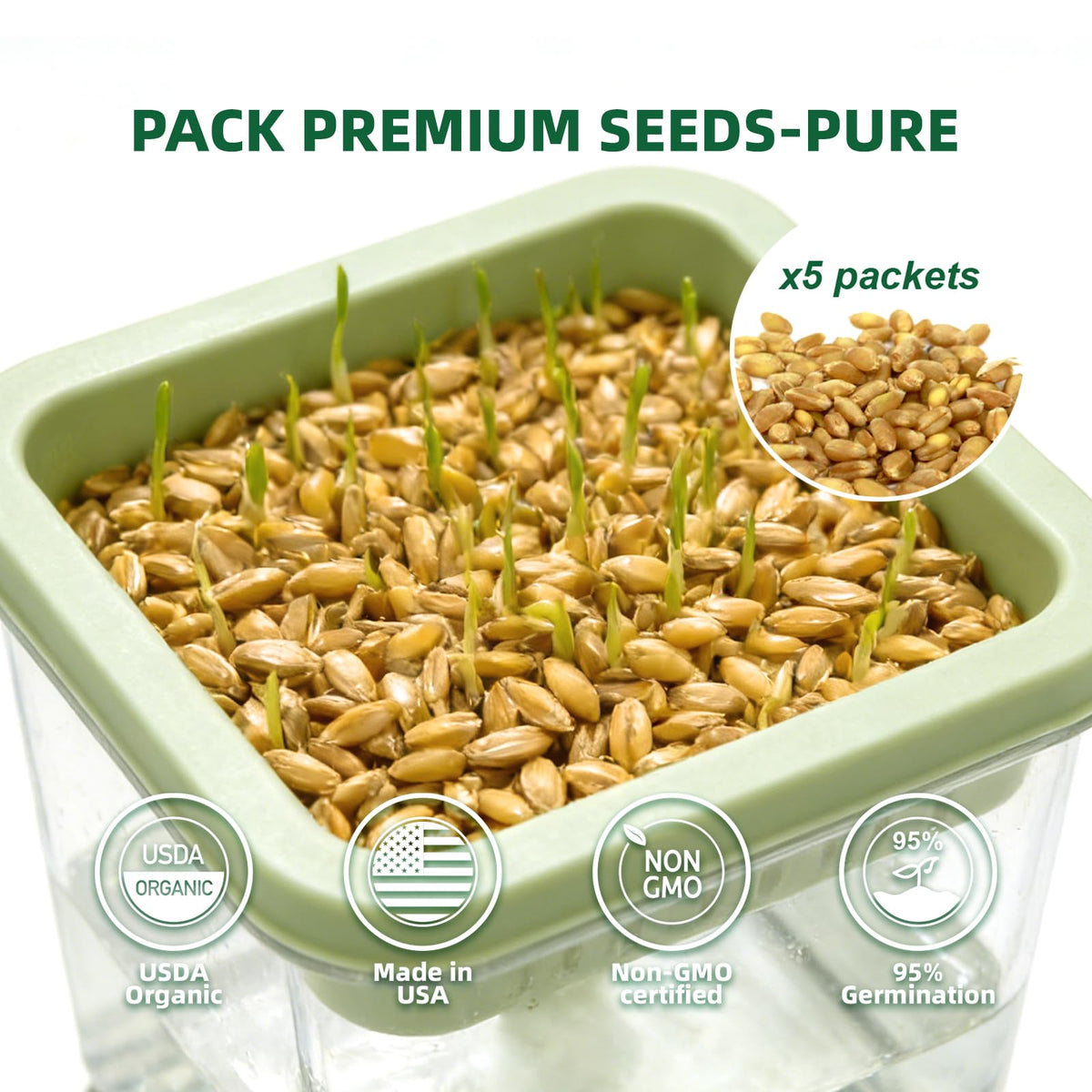 Cat Grass Kit with 5 Pack Non GMO Seeds & Scissors J176