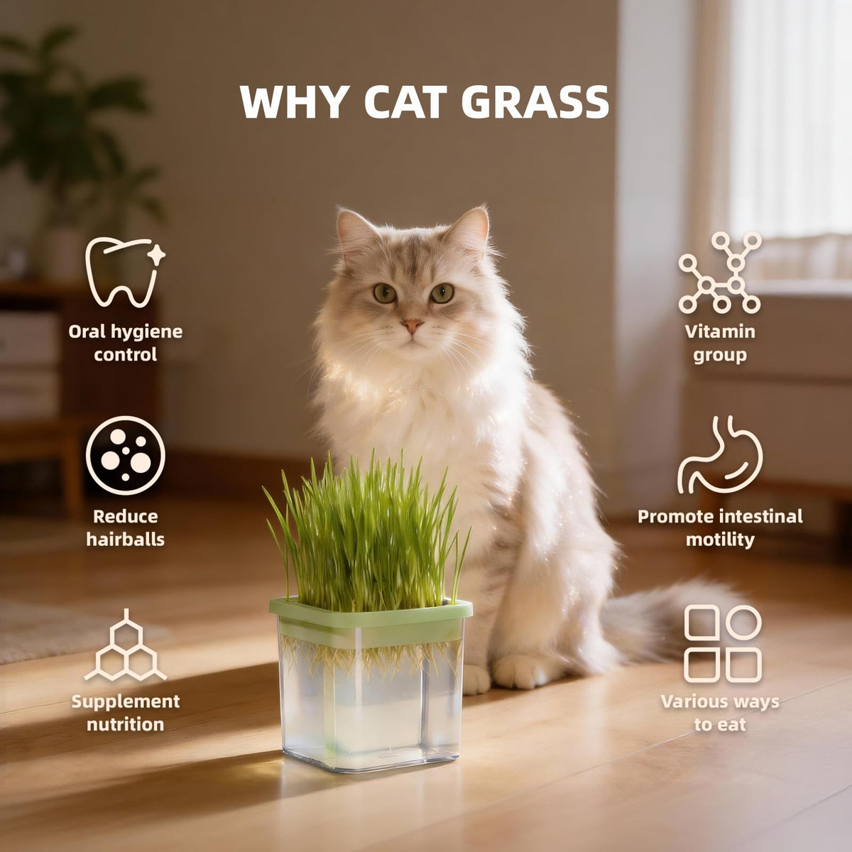 Cat Grass Kit with 5 Pack Non GMO Seeds & Scissors J176