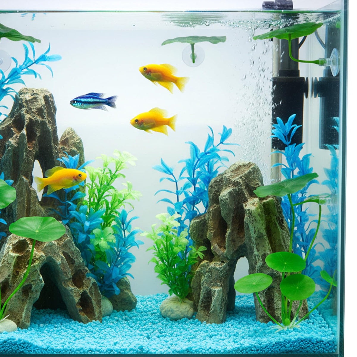 Betta Fish Leaf Hammock Suction Cup Aquarium Decor K77338