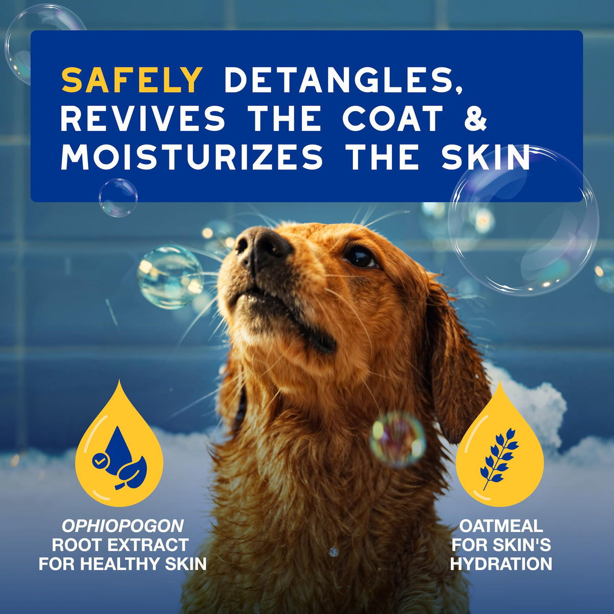 Oatmeal Dog Conditioner, 16 fl oz A642
