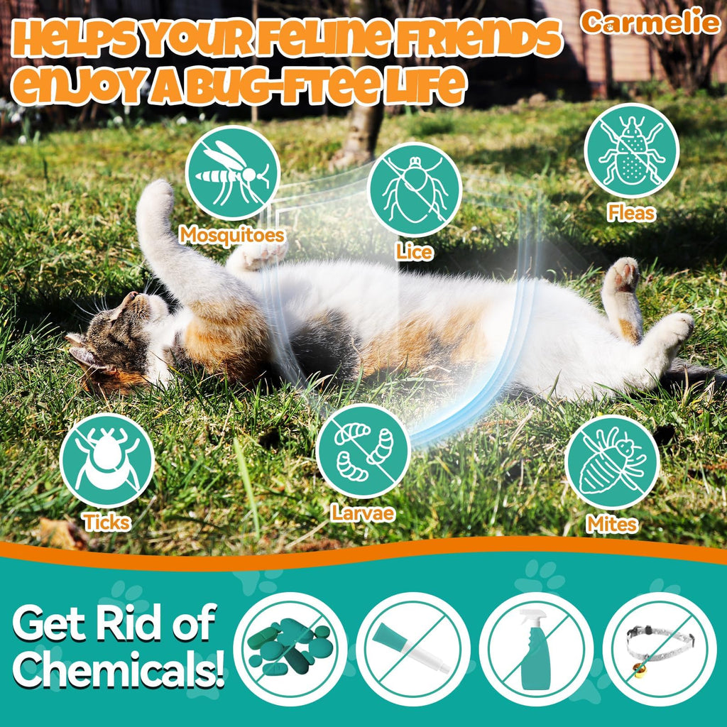 Flea and Tick Prevention for Cat with Vitamins Fish Oil 2 fl oz R7971