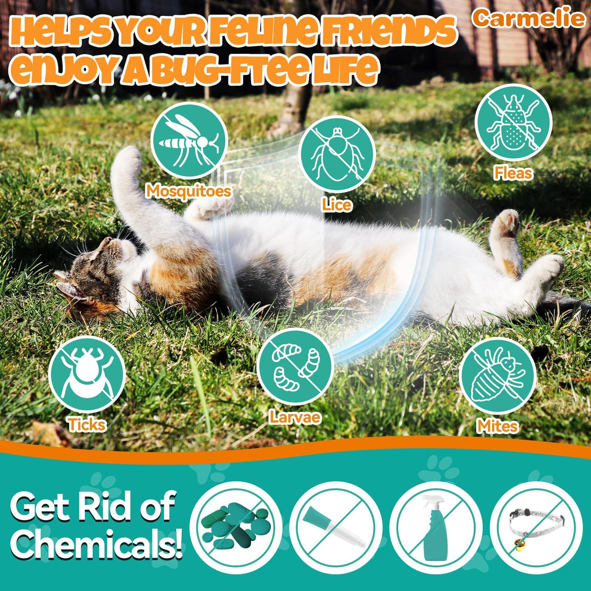 Flea and Tick Prevention for Cat with Vitamins Fish Oil 2 fl oz R7971