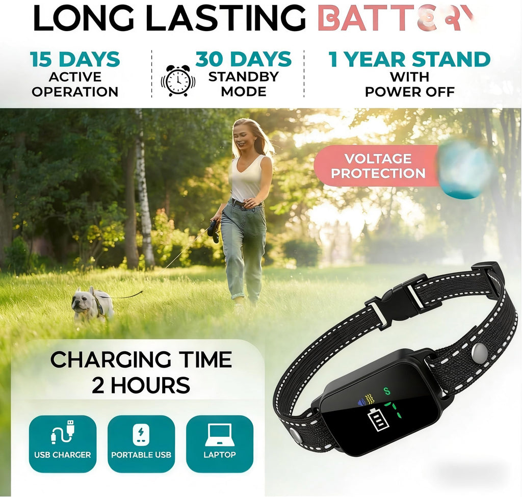 Dog Bark Collar D198