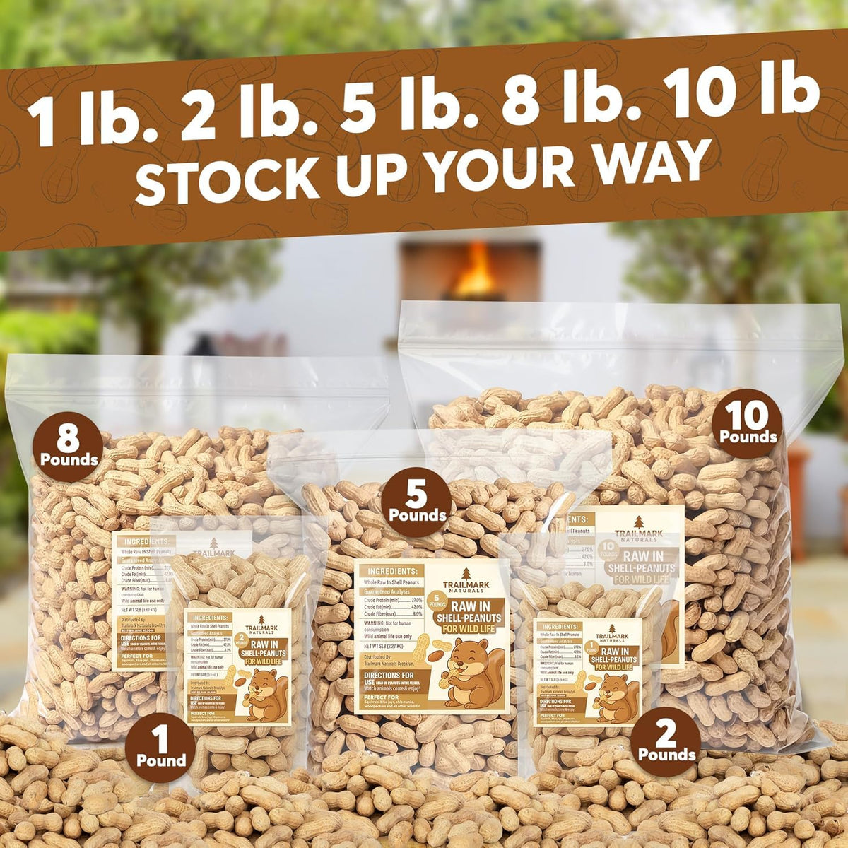12 LB Raw Peanuts in Shell R7852