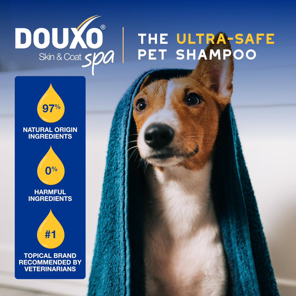 Oatmeal Dog Conditioner, 16 fl oz A642