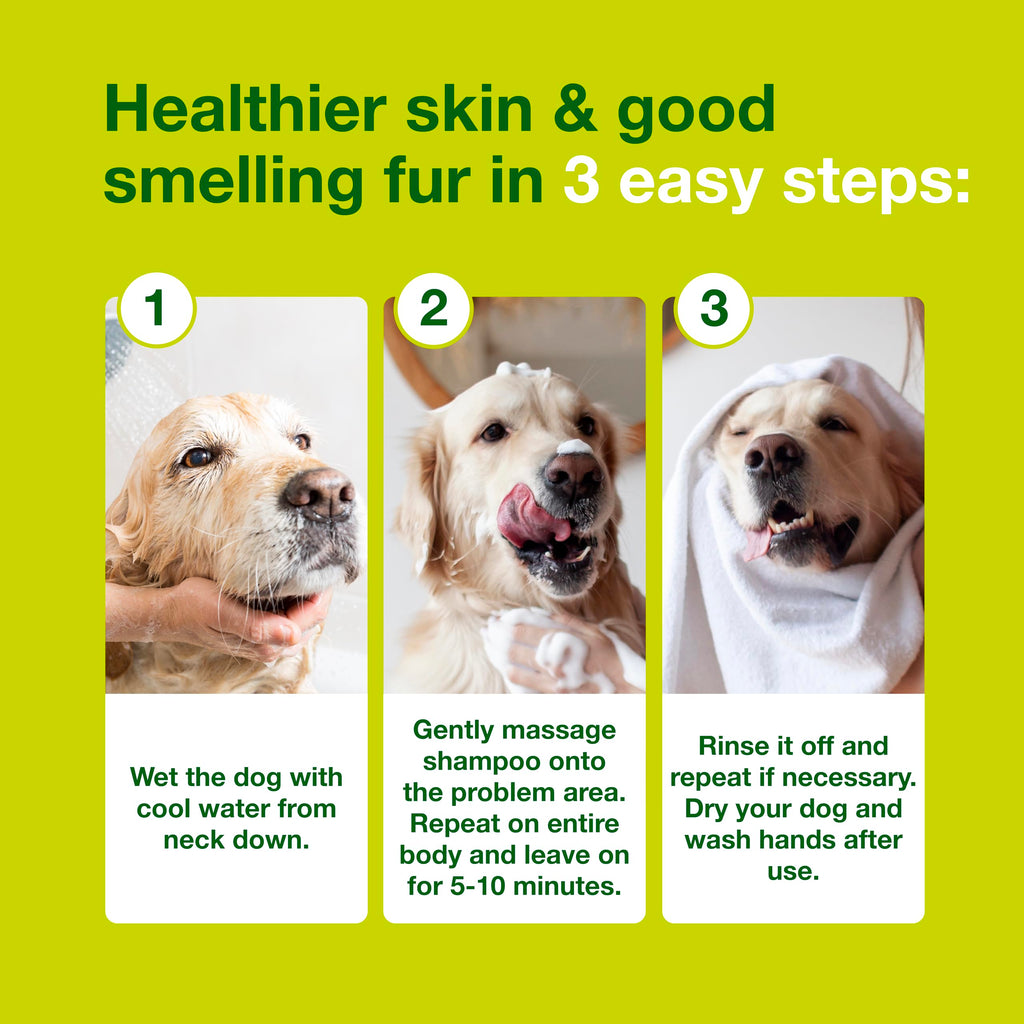 Dog Seboregulating Shampoo 6.7 fl oz A126