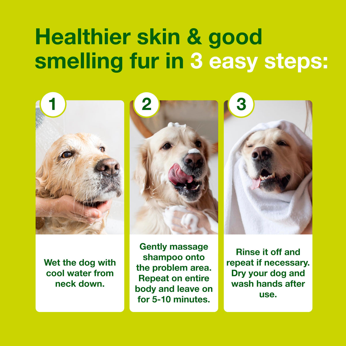 Dog Seboregulating Shampoo 6.7 fl oz A126
