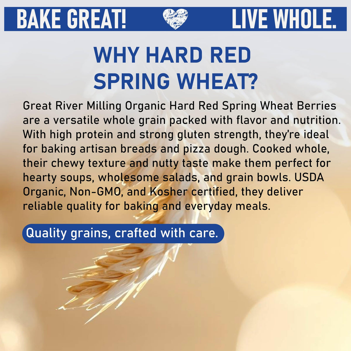 Organic Hard Red Spring Wheat Berries, 25 lb N3028