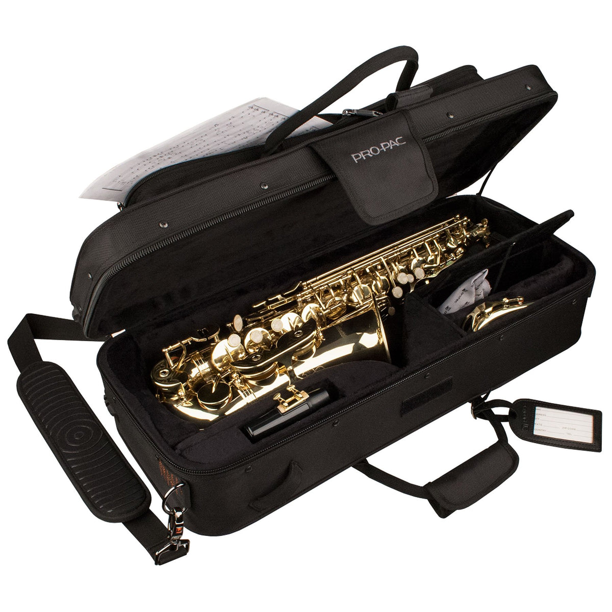Alto Saxophone Case G491