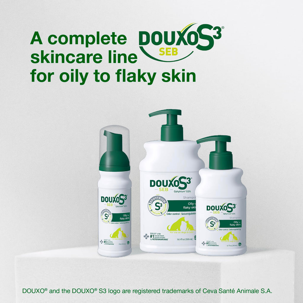 Dog Seboregulating Shampoo 6.7 fl oz A126