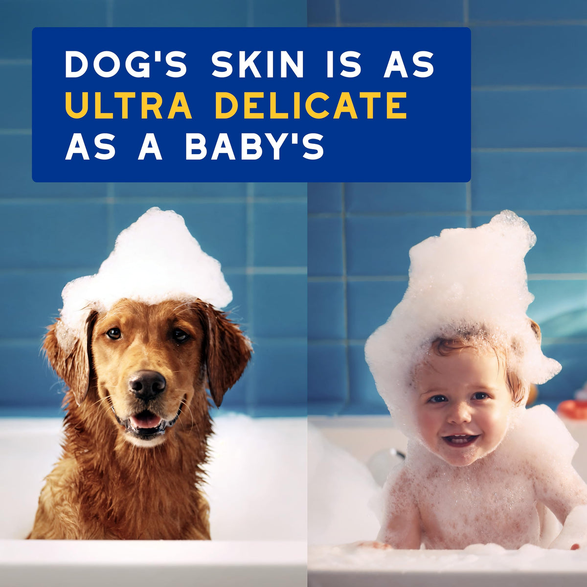 Oatmeal Dog Conditioner, 16 fl oz A642
