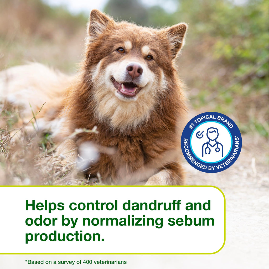 Dog Seboregulating Shampoo 6.7 fl oz A126