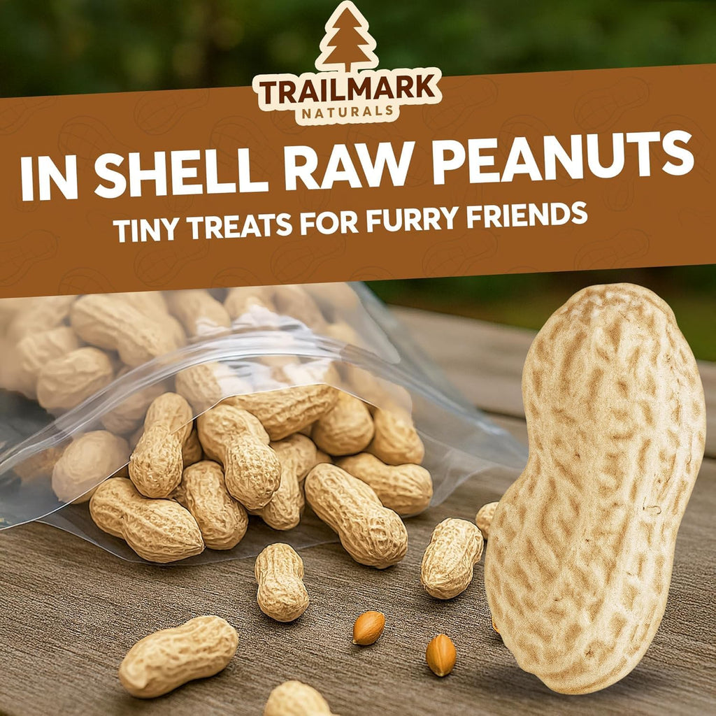 12 LB Raw Peanuts in Shell R7852
