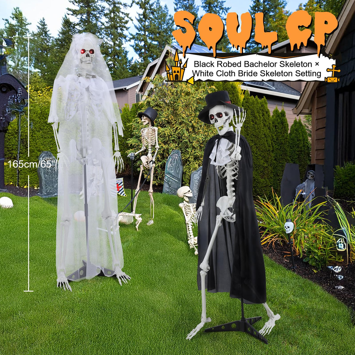Life Size Skeleton P90626