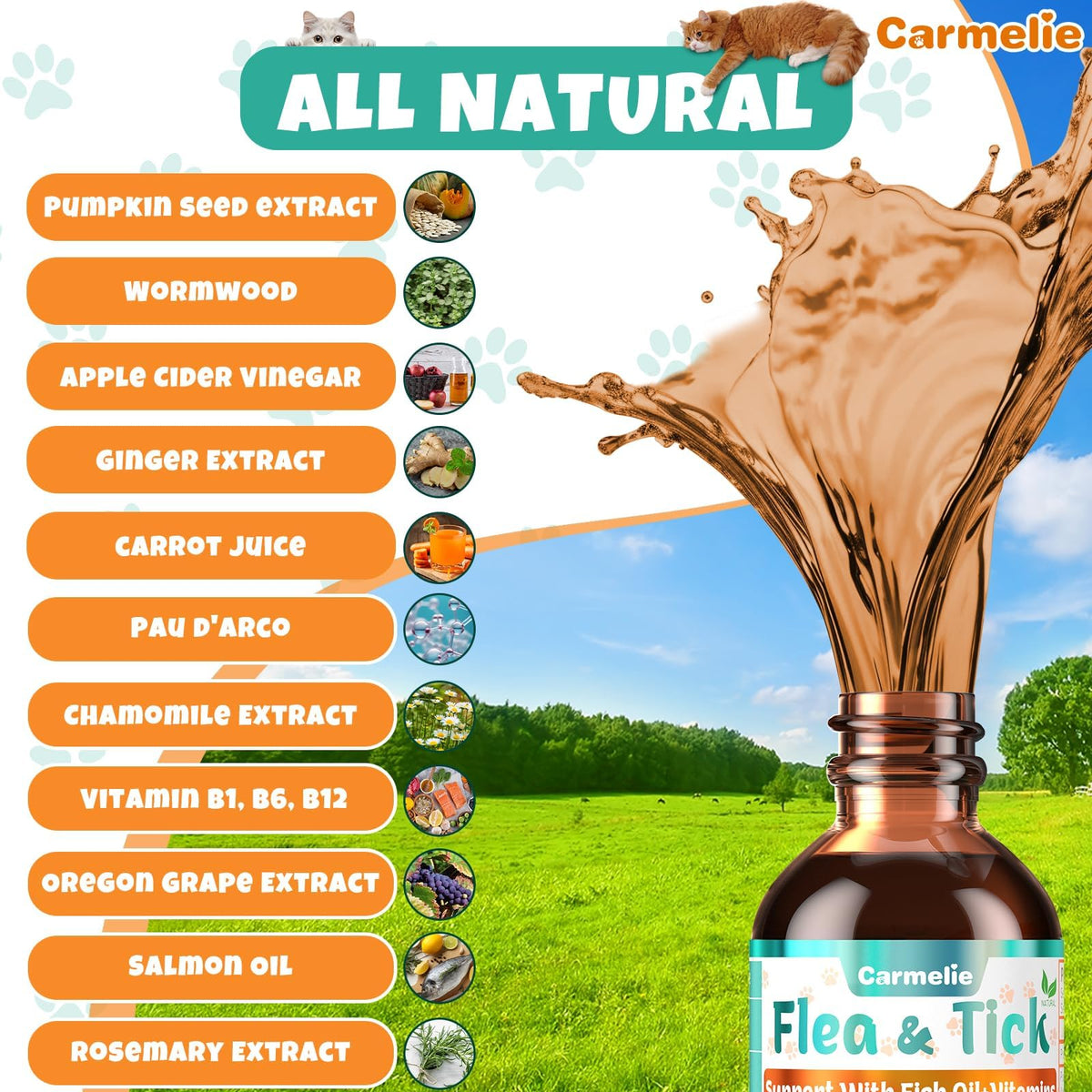Flea and Tick Prevention for Cat with Vitamins Fish Oil 2 fl oz R7971